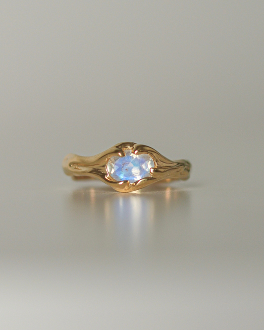 טבעת עדן בשיבוץ מונסטון