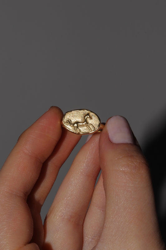 Horse Signet Ring In Gold